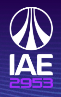 IAE 2953